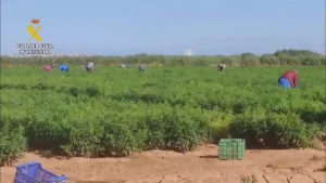 321f13bc-6fe9-45db-bad1-9659f27cc8b4_16-9-discover-aspect-ratio_default_0